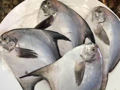 -大洋海鲜居·海鲜特色菜(墟沟海鲜美食城店)