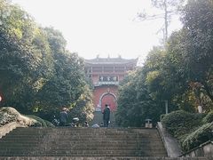 -铁山坪森林公园