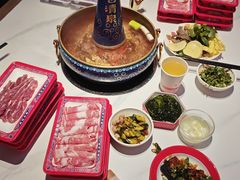 -董记老清泉·鲜切涮羊肉(窑岭店)