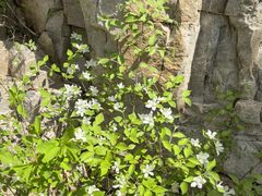 -京东石林峡风景区