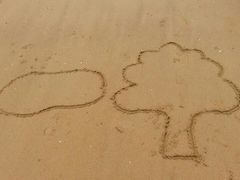 -日照海滨国家森林公园
