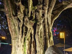 -鹅岭公园瞰胜楼