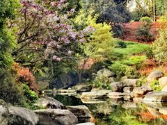 -逸廊大堂吧-下午茶·简餐-千岛湖自由洲际殿