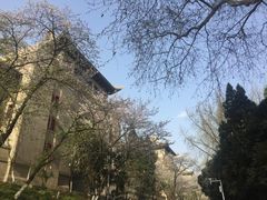 -武汉大学-樱园