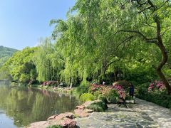 -杭州植物园