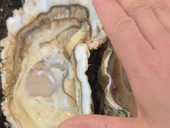 -今鲜源大酒店·中华餐饮名店(新湛路店)