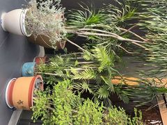 -观宴·品质赣菜(高新大道店)