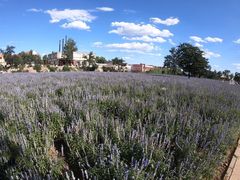 -静之湖湖畔餐厅