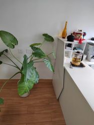 -韵绮产后修复中心(青浦宝龙广场店)