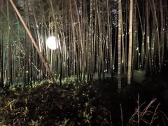 -杭州黄龙洞