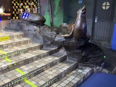 -太平洋海底世界