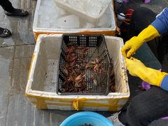 -青石桥市场北1-27号