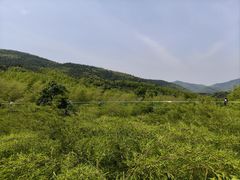 -陶祖圣境风景区