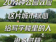 -大望京公园