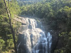 -海南热带雨林国家公园吊罗山景区