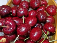 -一绪に寿喜烧自助(世茂广场店)