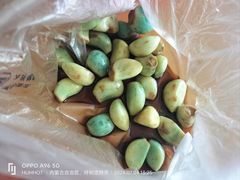 -老绥元烧麦·家常菜(人和店)