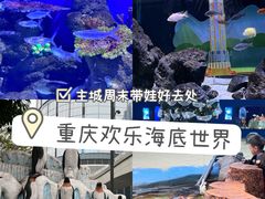 -重庆欢乐海底世界
