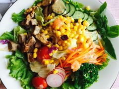 猪排沙拉-怪兽炸鸡.轻沙拉(锦州店)