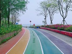 -贡湖湾湿地公园