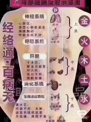 点击看大图 -香薇妮丝女子减肥院