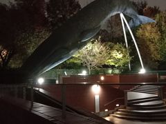 -东京国立博物馆