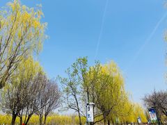 -五环公园