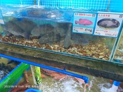 -鸿港海鲜批发市场