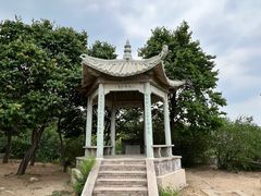 -北京鹫峰国家森林公园