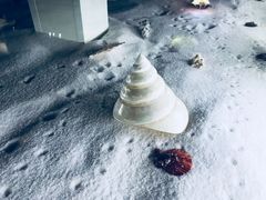 -青岛贝壳博物馆