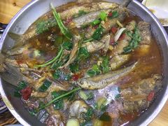 -全乐鱼馆·淳牌有机鱼直营店