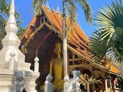 -西双版纳傣族园