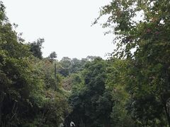 -广州市白云山风景名胜区