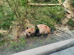 -杭州动物园