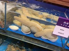 水产区-开海·红岛海鲜虾水饺(石老人店)
