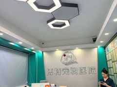 -博特宠物医院24h犬猫全科.骨科·异宠