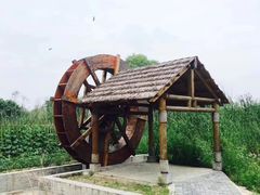 -同里国家湿地公园