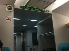 -龙阳路磁悬浮列车总站-停车场