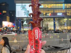 -黑色经典臭豆腐·湖南特产(步行街店)