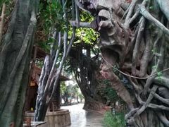 -龙达温泉生态城