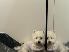 -中粮·祥云小镇