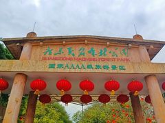 -广东茂名森林公园
