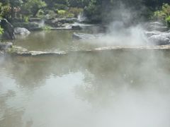 -东莞植物园
