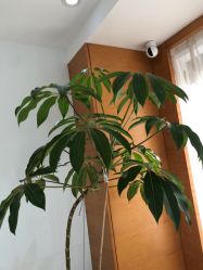 -HEYAN荷妍专业脱毛连锁机构