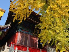 -宝通禅寺
