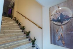 -海涛医疗美容·面部抗衰·注射美鼻