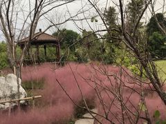 -南通洲际绿博园