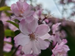 -金典银峰老鹅馆·昆山菜(亭林公园店)