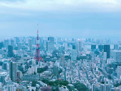 -六本木新城展望台(东京城市景观)