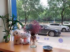 -初心动物医院